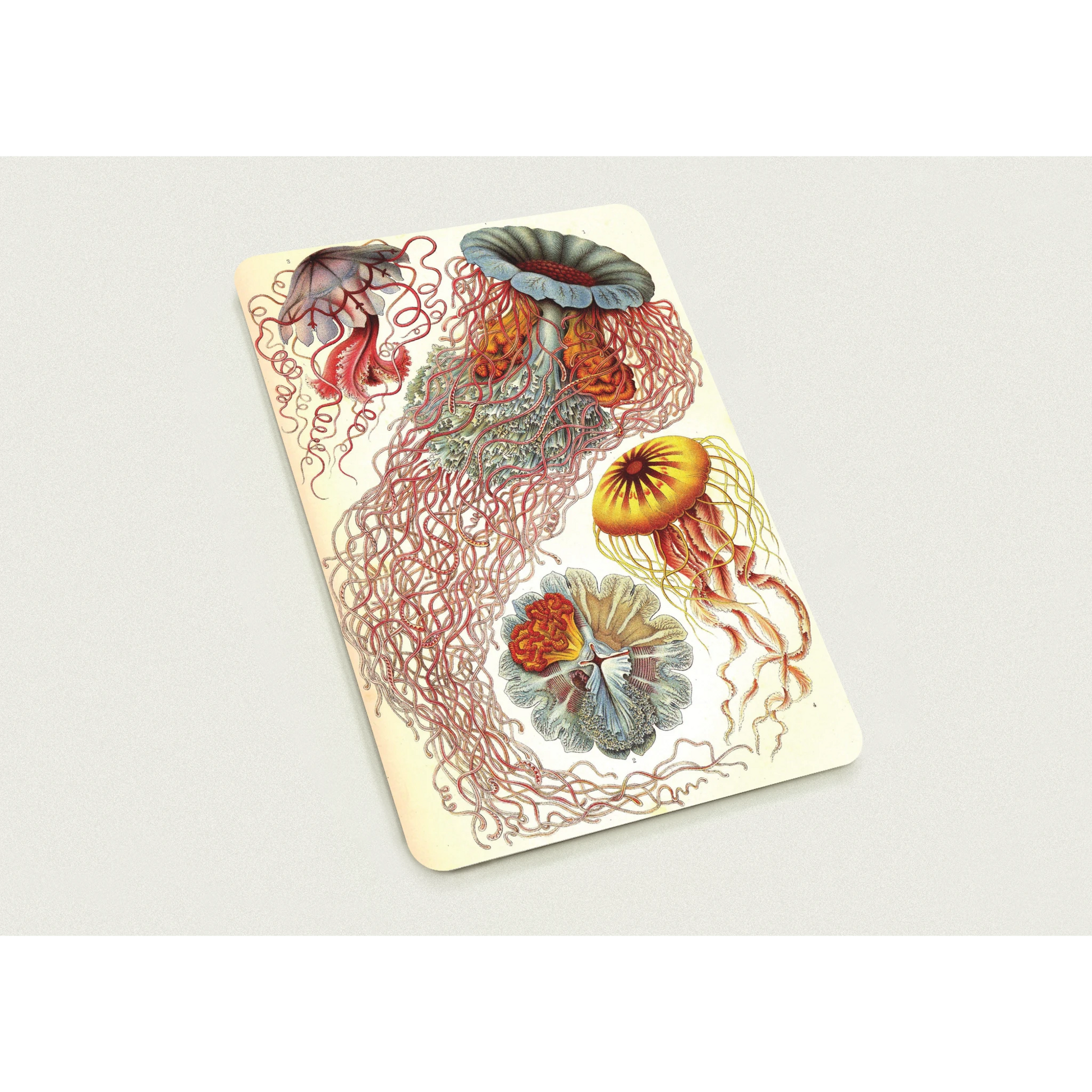 751f57c8-a7a5-4681-a360-fe1c239f54ac