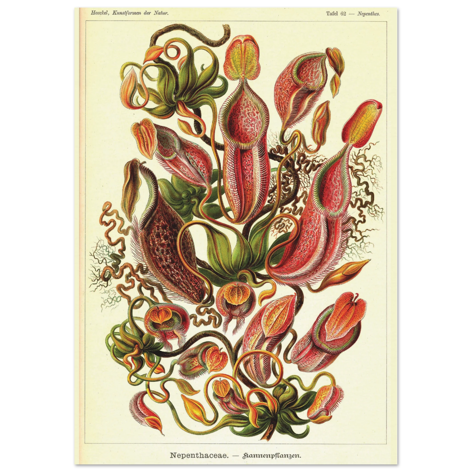 76680b5e-9182-49f0-b676-52d63765bcf9