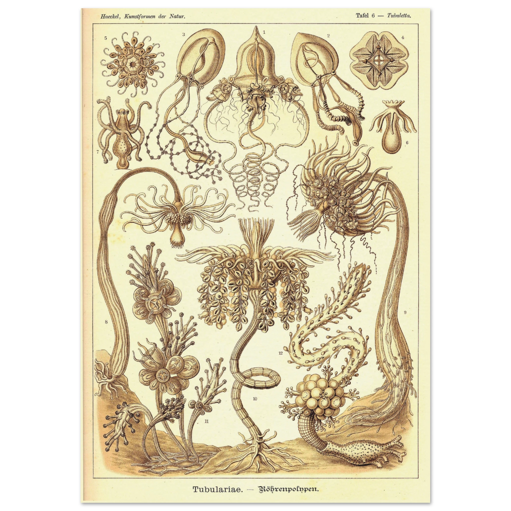 78701ba7-d446-4e71-9ce2-090ea19ac694