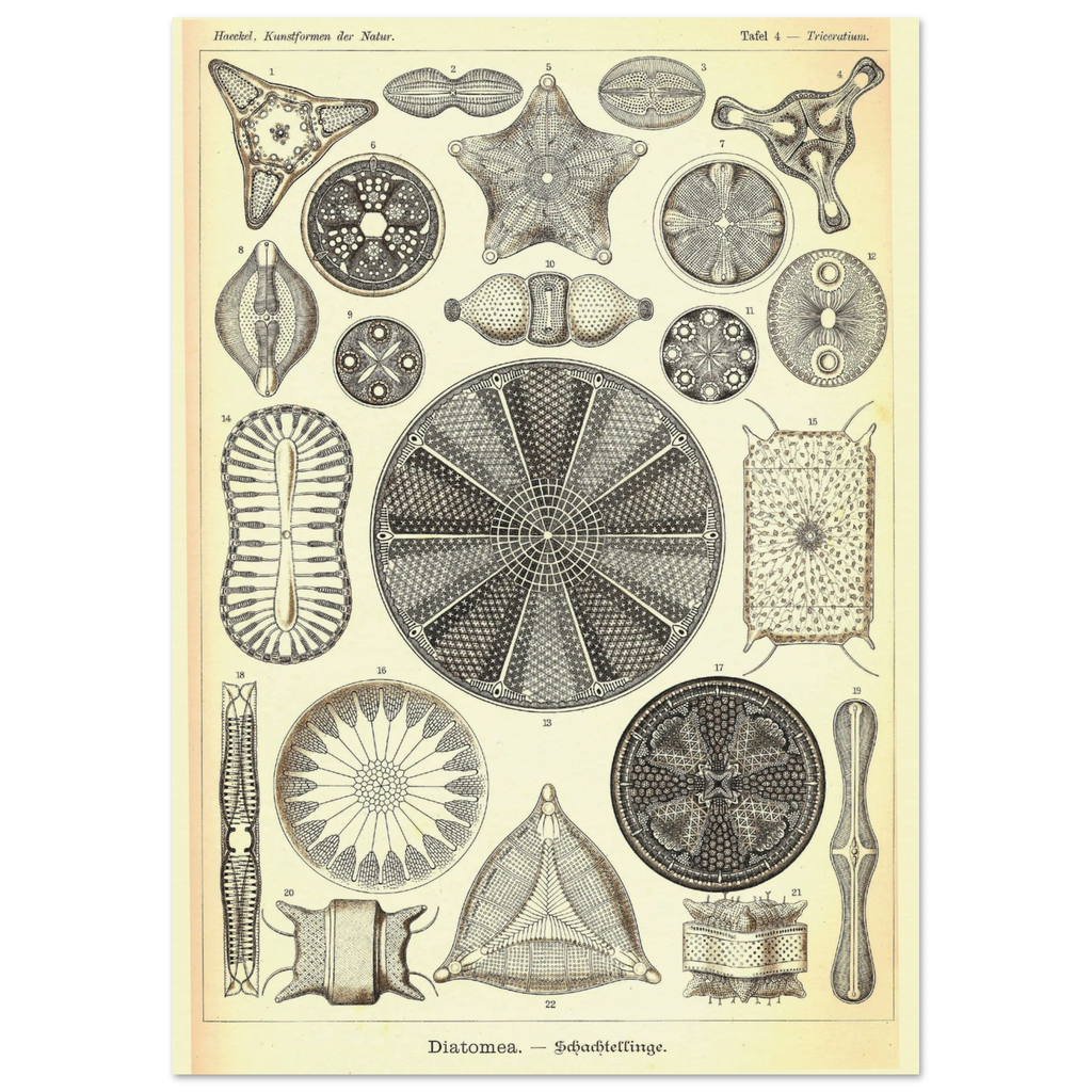 789c2e87-20f6-4d72-8244-620480f314f2