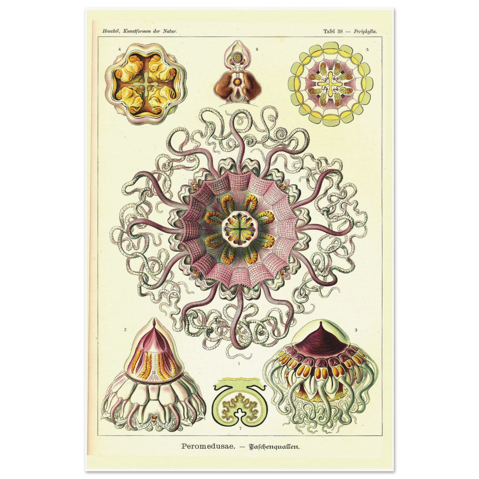 7abd9a60-1dc0-47c5-b875-622c79132df7