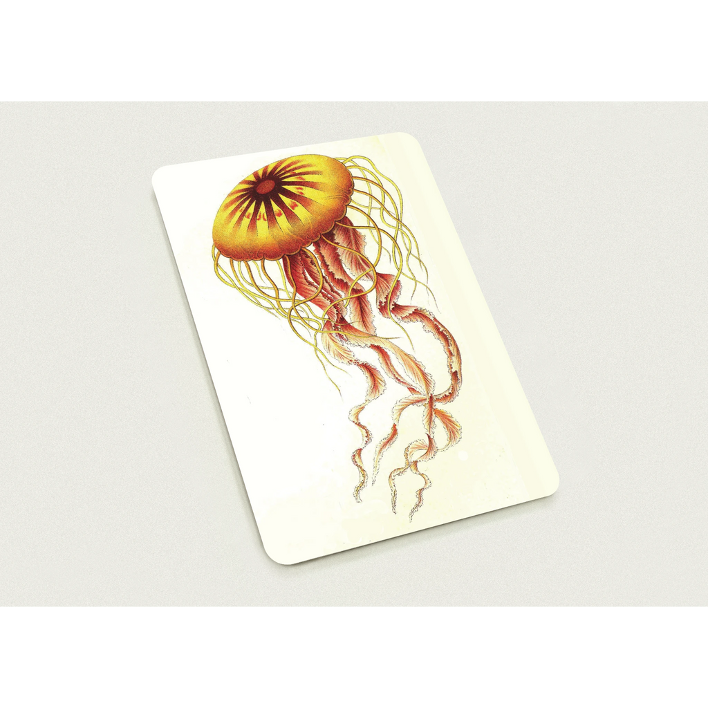 7f32b11f-3ea3-4536-b02c-f7632b433b67