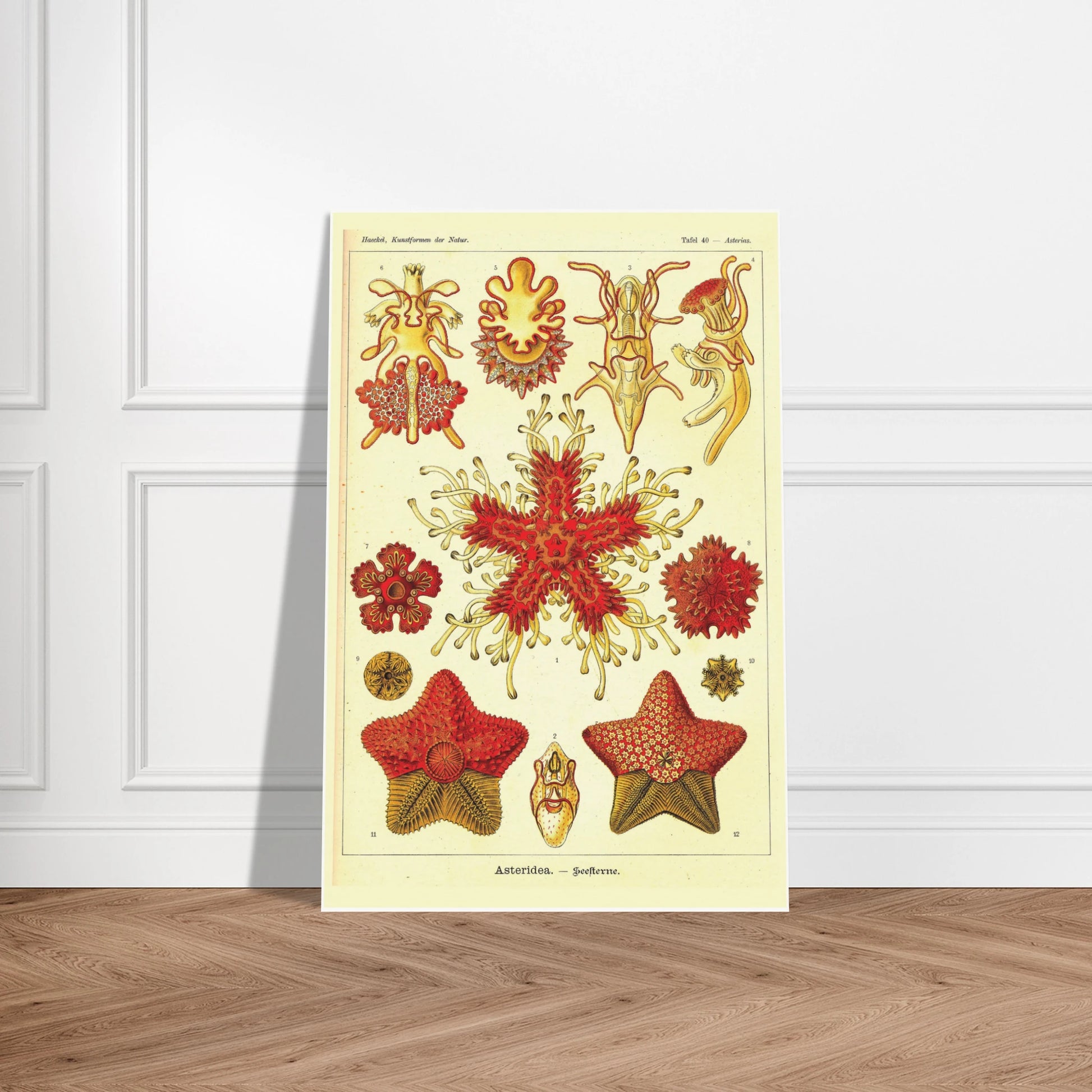 7fedfeb1-48a2-4dc1-bdc3-c25c2a4cd49f