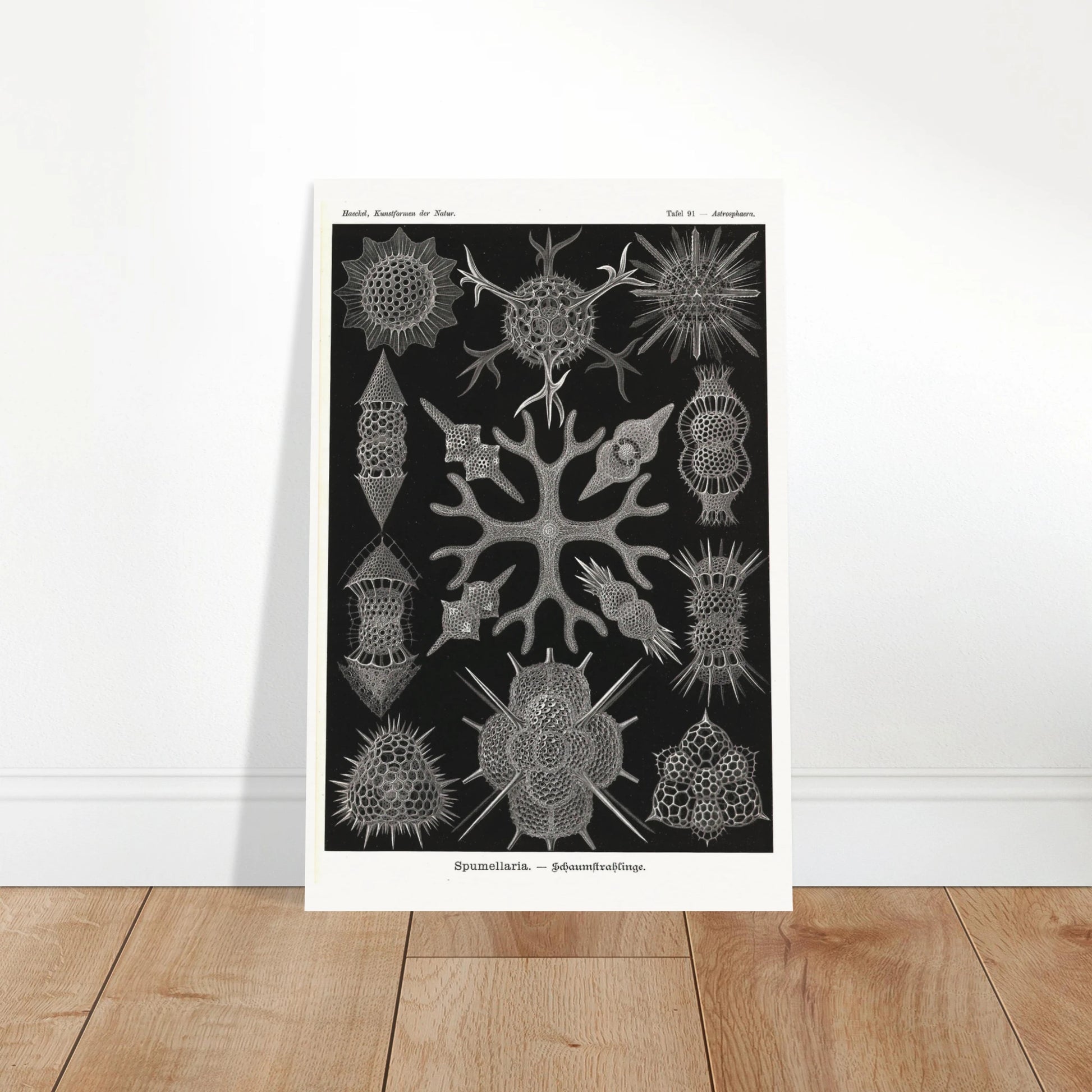 80b89e4b-9efc-41a5-b69a-a5d5b3396e2a