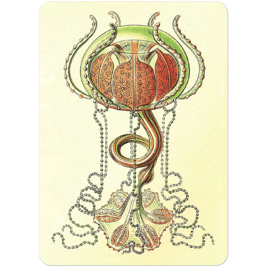 81160530-5cd7-473b-b5fe-e5b2b568fbfa