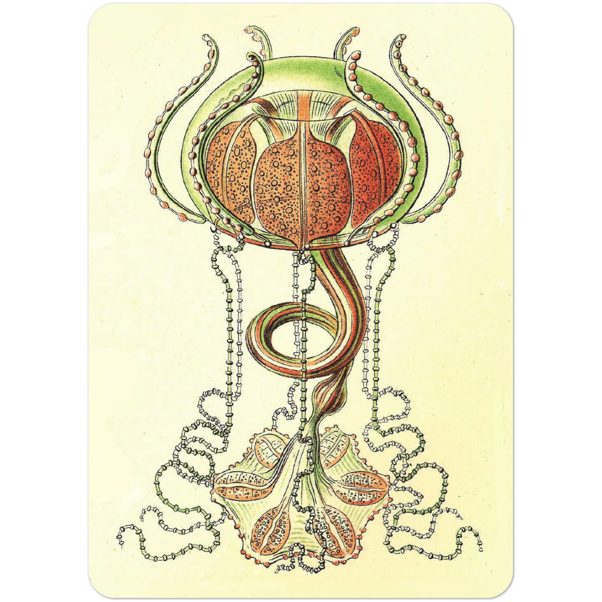 81160530-5cd7-473b-b5fe-e5b2b568fbfa