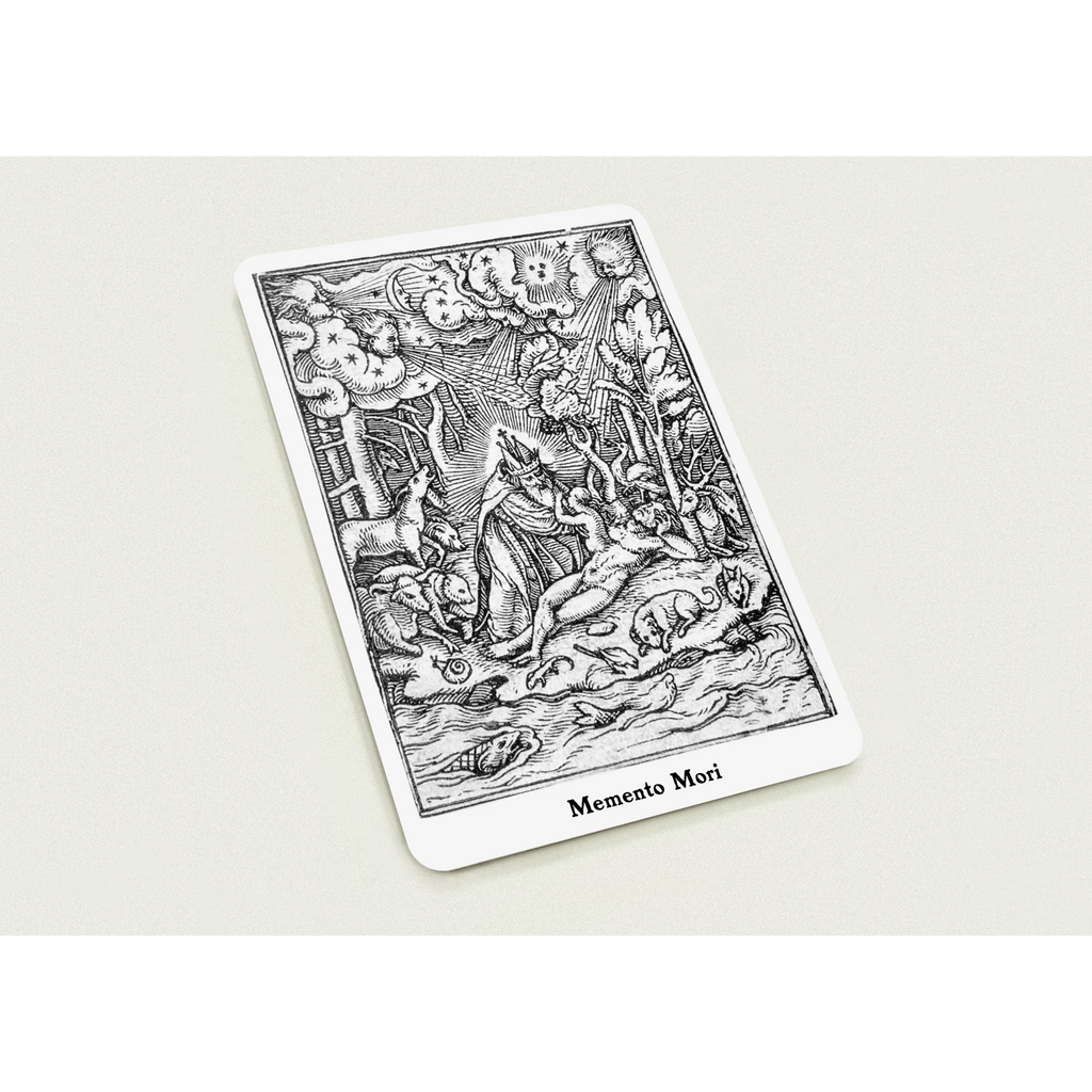 8116a628-6db7-4f3d-87e7-0546933273aa