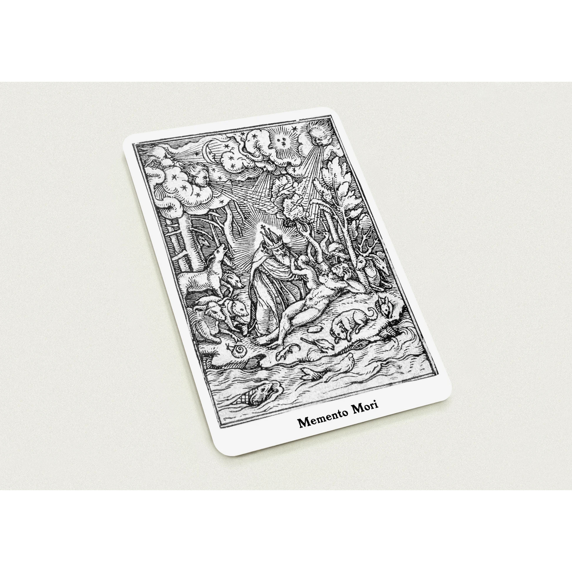 8116a628-6db7-4f3d-87e7-0546933273aa