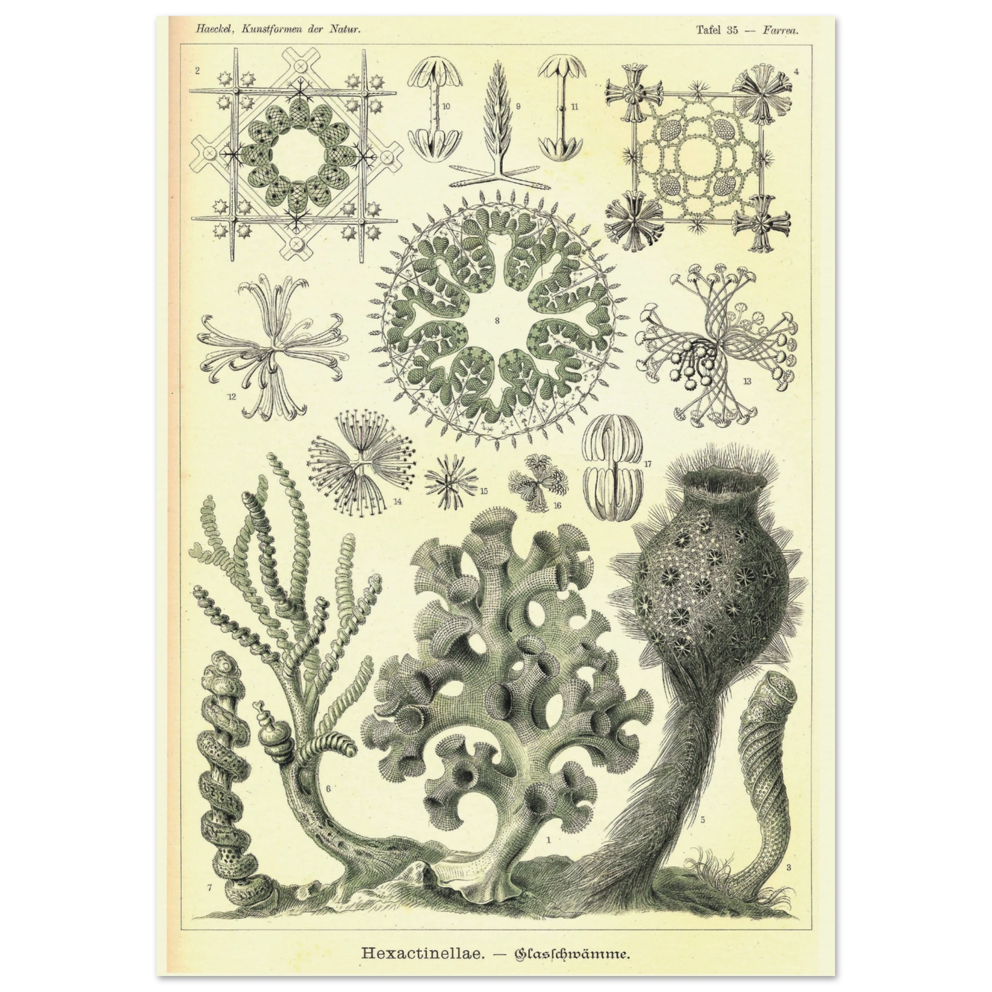 8385a45e-31f2-4180-9b0f-4d33528d39e7