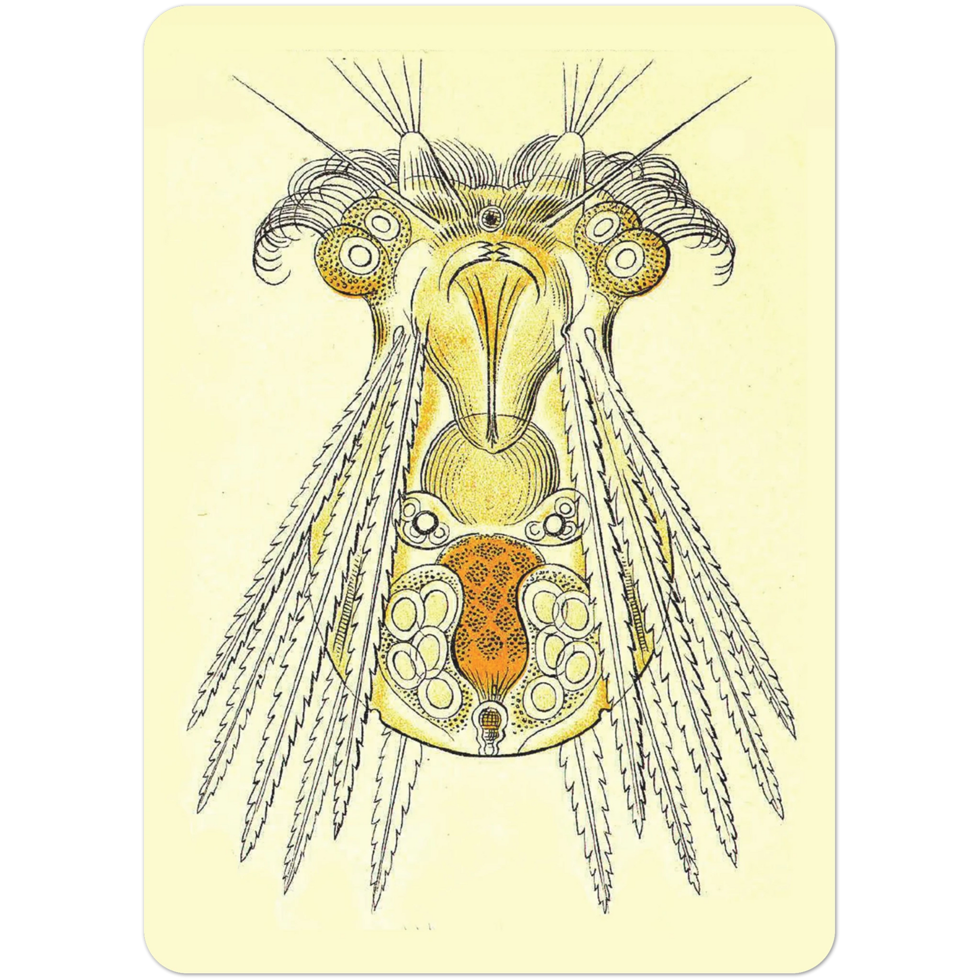 845313a4-c080-465e-ba21-758d2d42b4d8