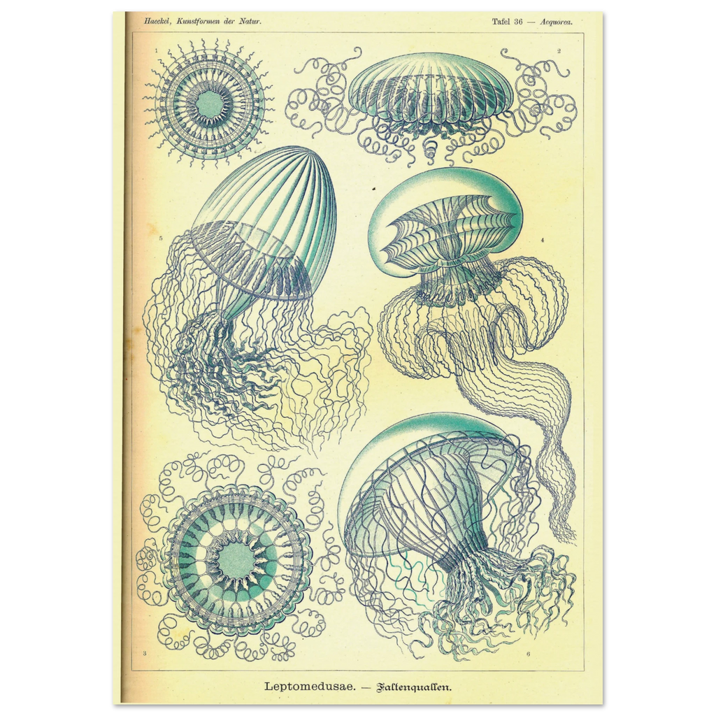 86b09a5c-4f3c-443c-8fe8-1d5983696a6f