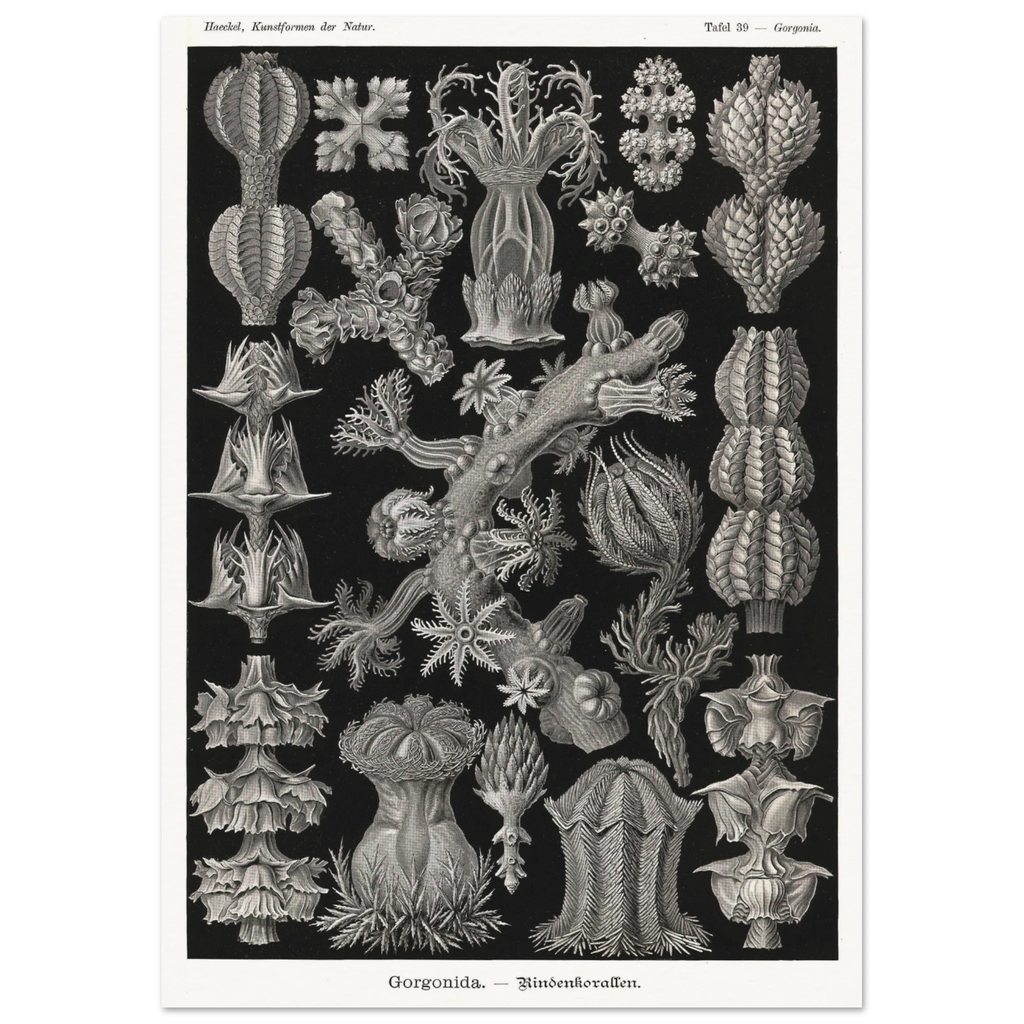 86f75666-e6a3-42a7-bb6b-7ab5258d105b