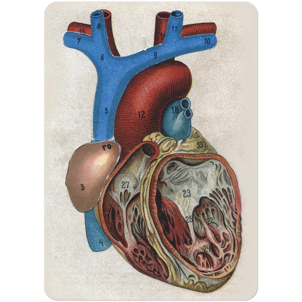 8822043b-a388-4c38-817a-992a5747ad89