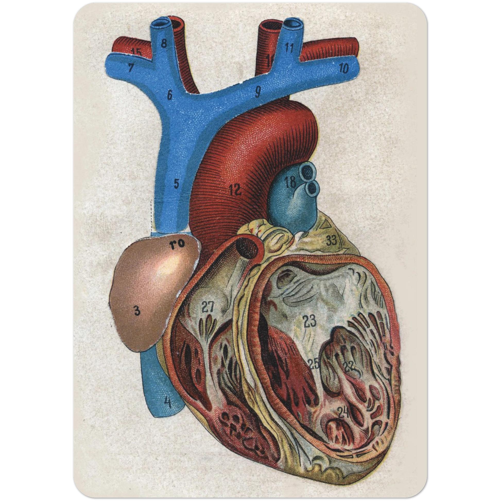 8822043b-a388-4c38-817a-992a5747ad89