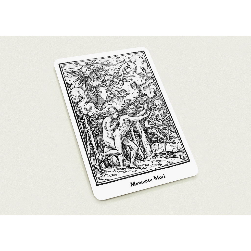 895495dd-c242-4e9c-a996-1f8121c28676