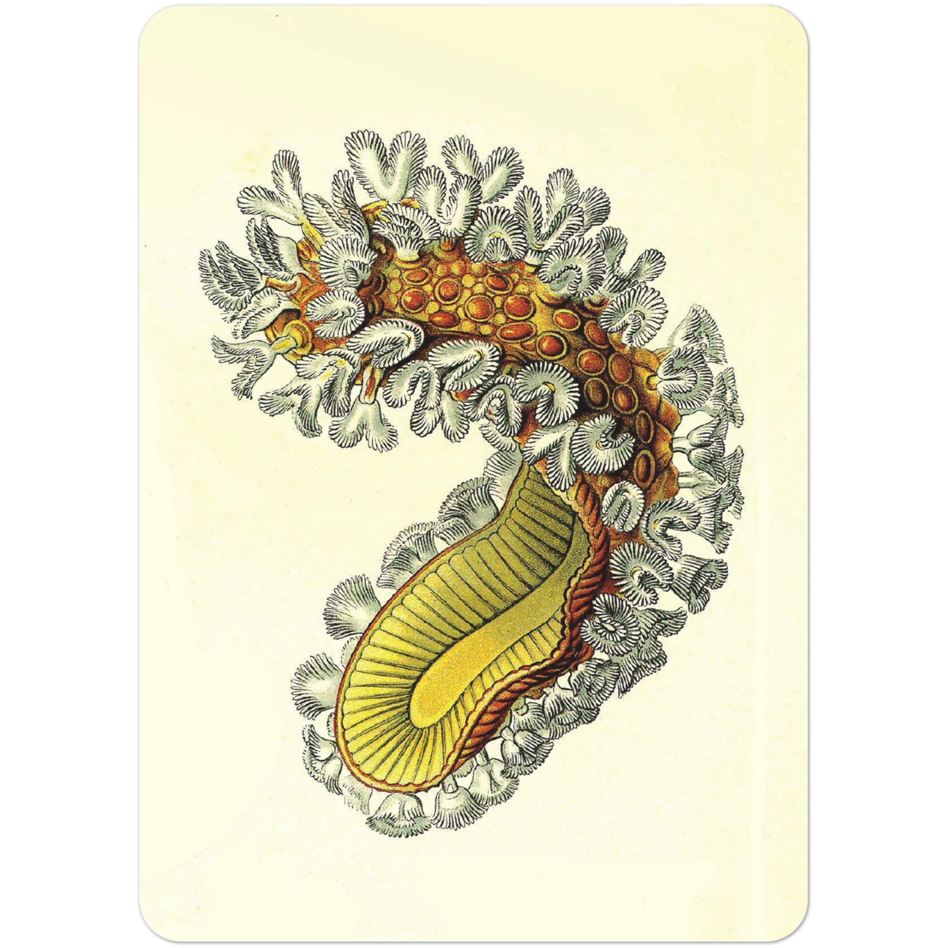 8af6ed3a-bb7a-460c-a867-9d45e2678034