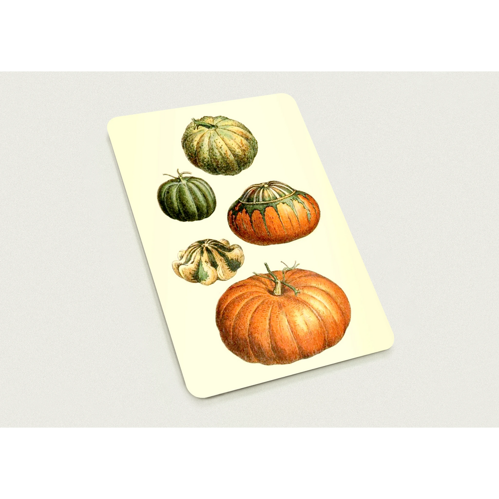 8d13b981-5072-4826-95fb-5c8a6477ab2b