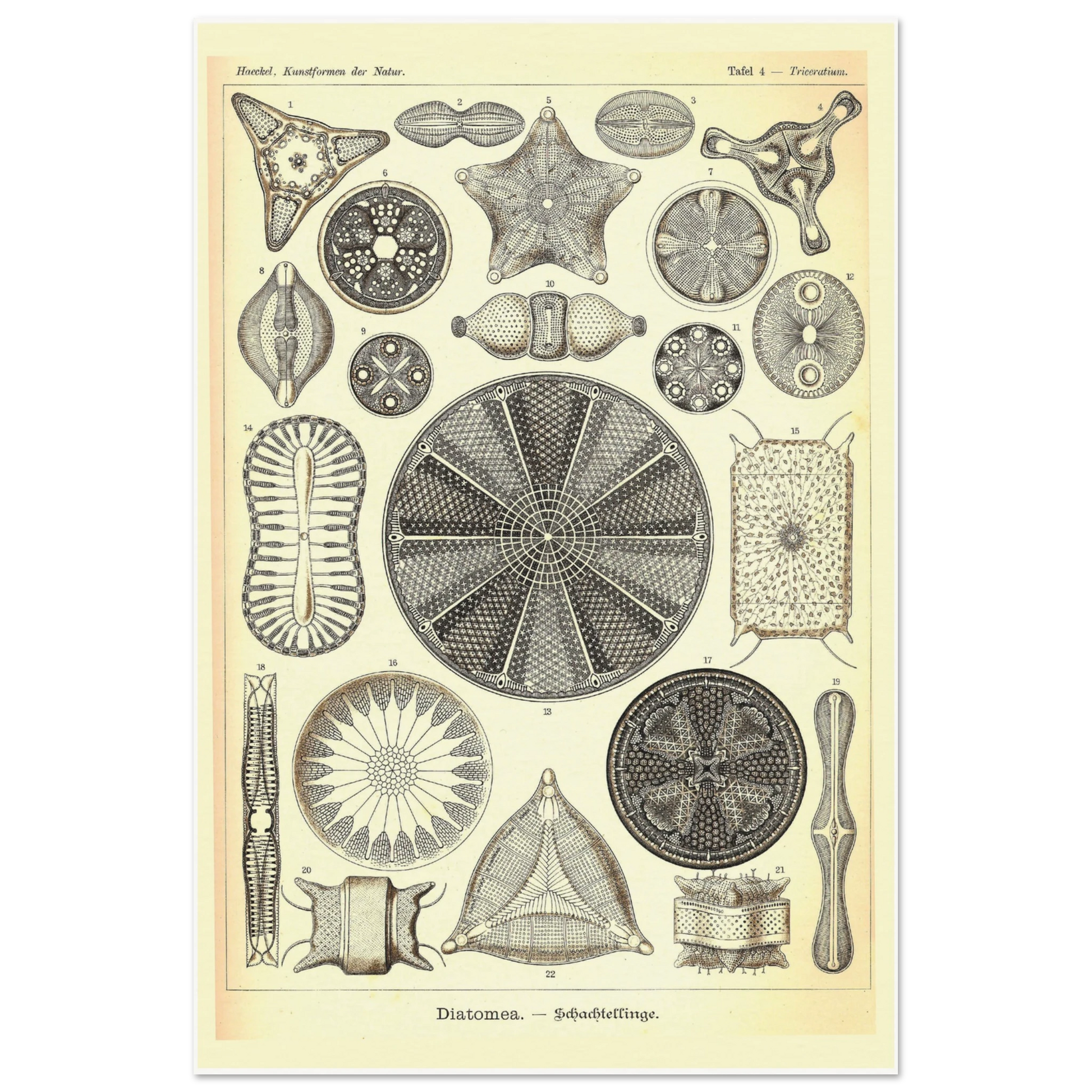 8e6f2586-e606-451c-932a-b6a2e208aa32