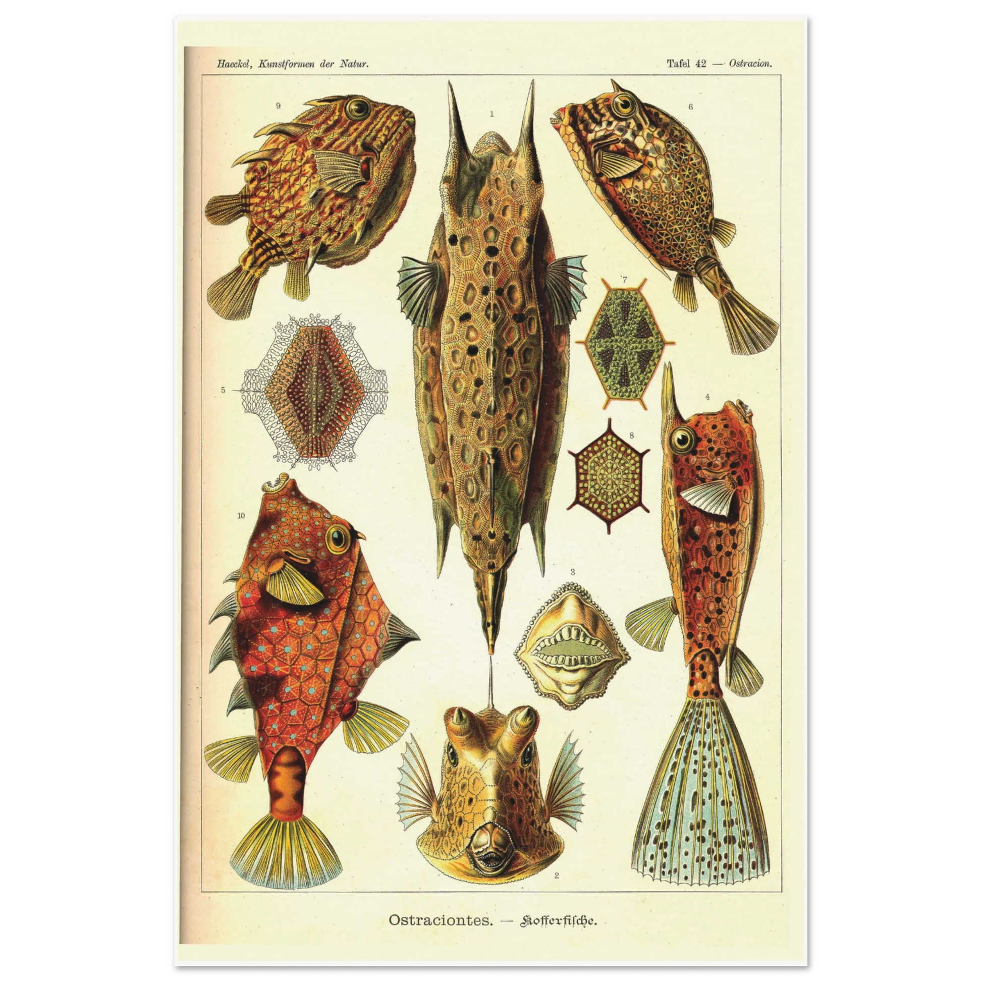 8ee318c3-e877-450f-8707-0be4e8d04cbe