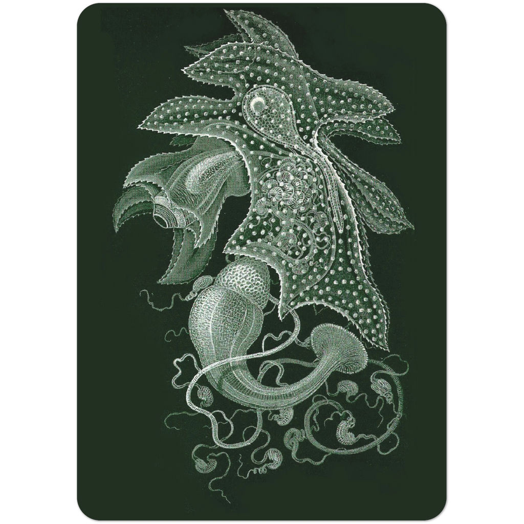 9389499c-7df2-4acf-8694-c34ec80bfa9a