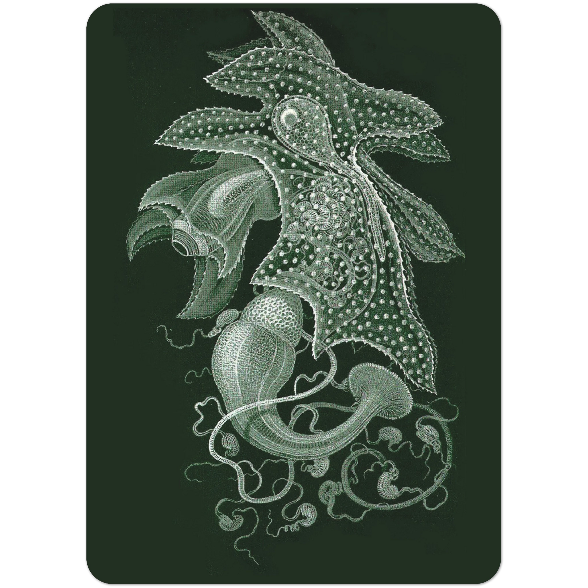 9389499c-7df2-4acf-8694-c34ec80bfa9a