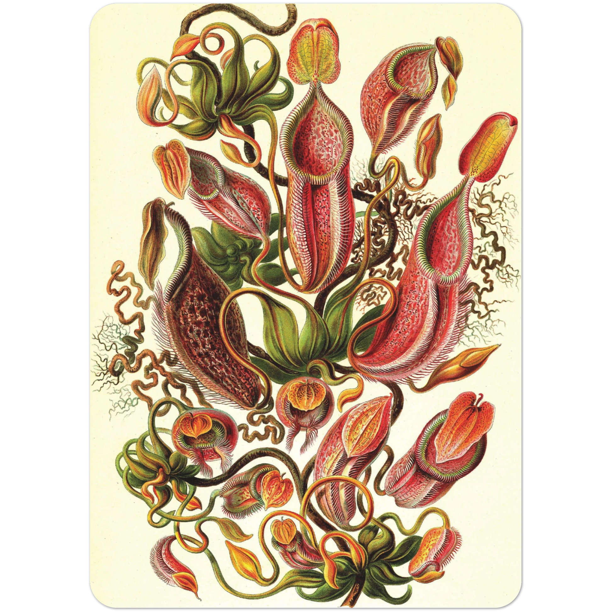 93a2d1fb-8bc0-44bf-bb0f-d7e0280d18b9