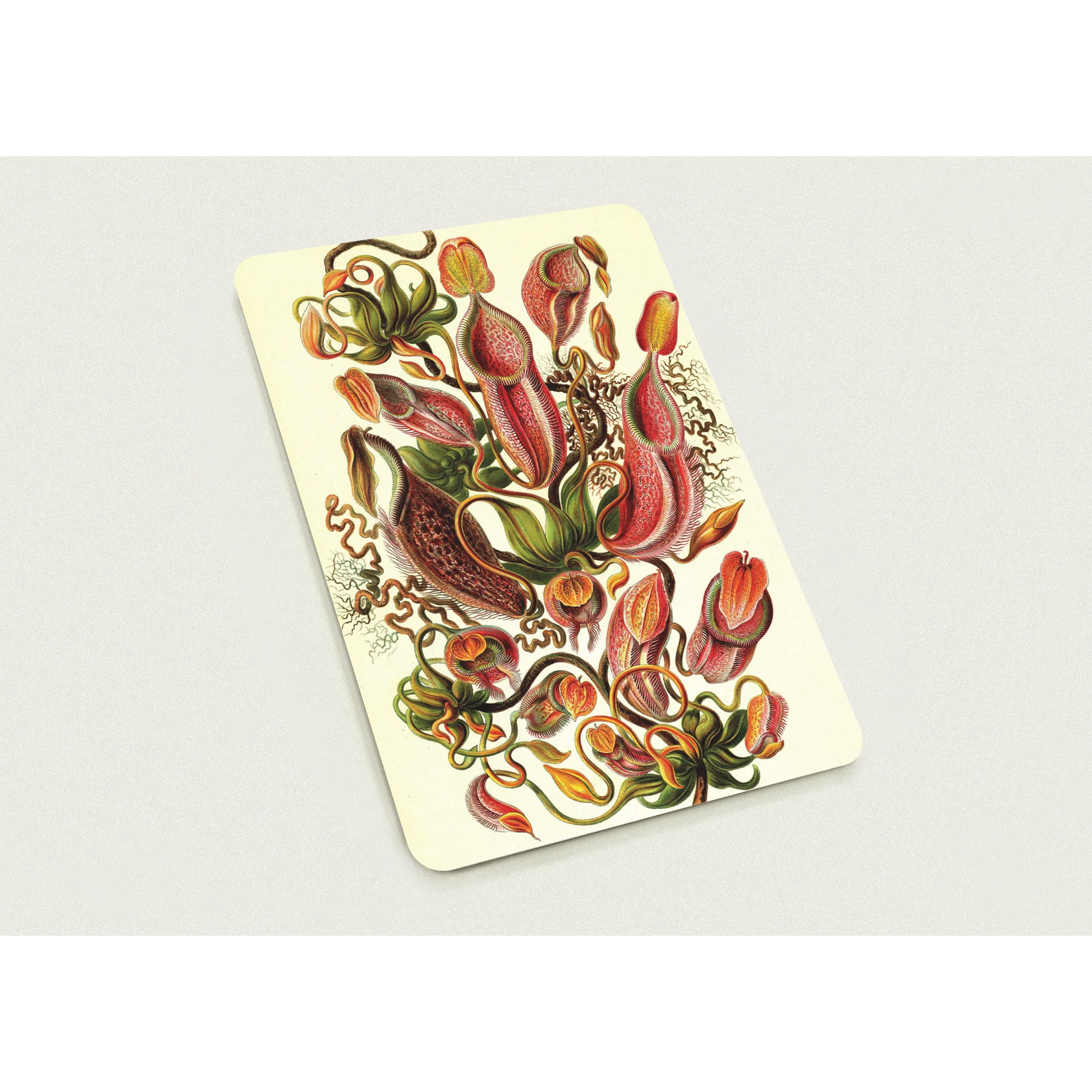 94a4431c-2880-4d87-9b66-6b5008c7417f