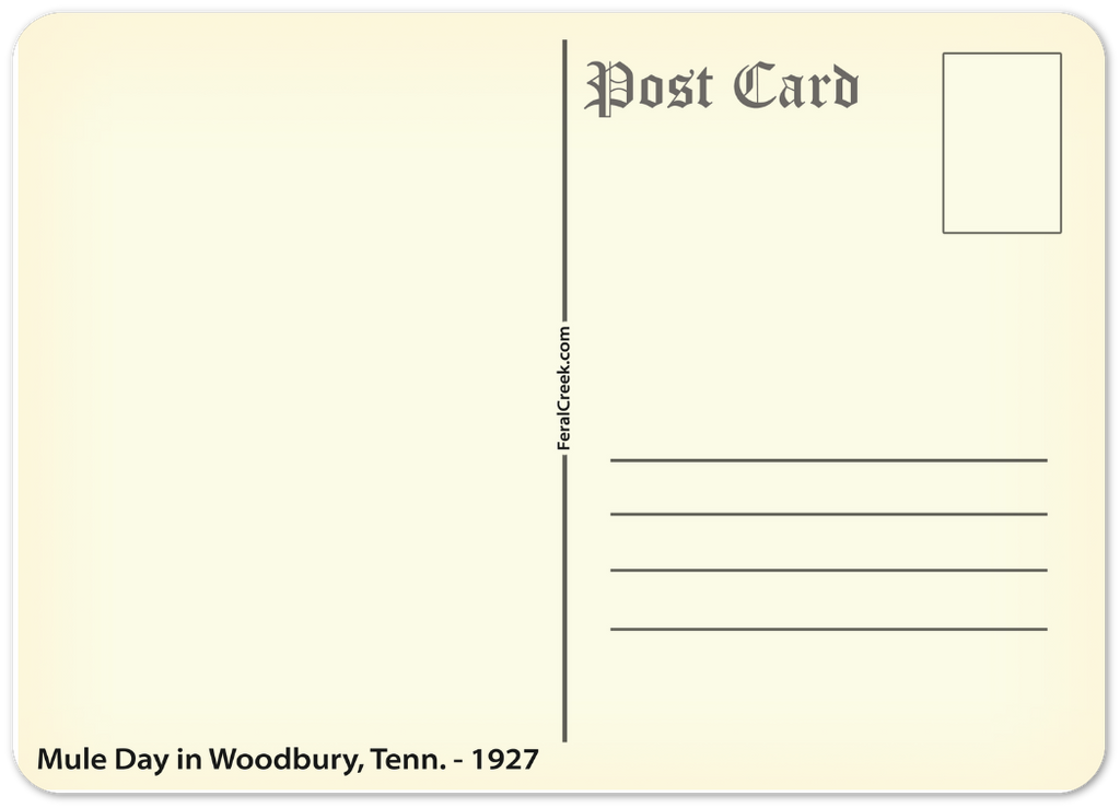 965da918-6b2f-4034-ab6e-1465a618135c