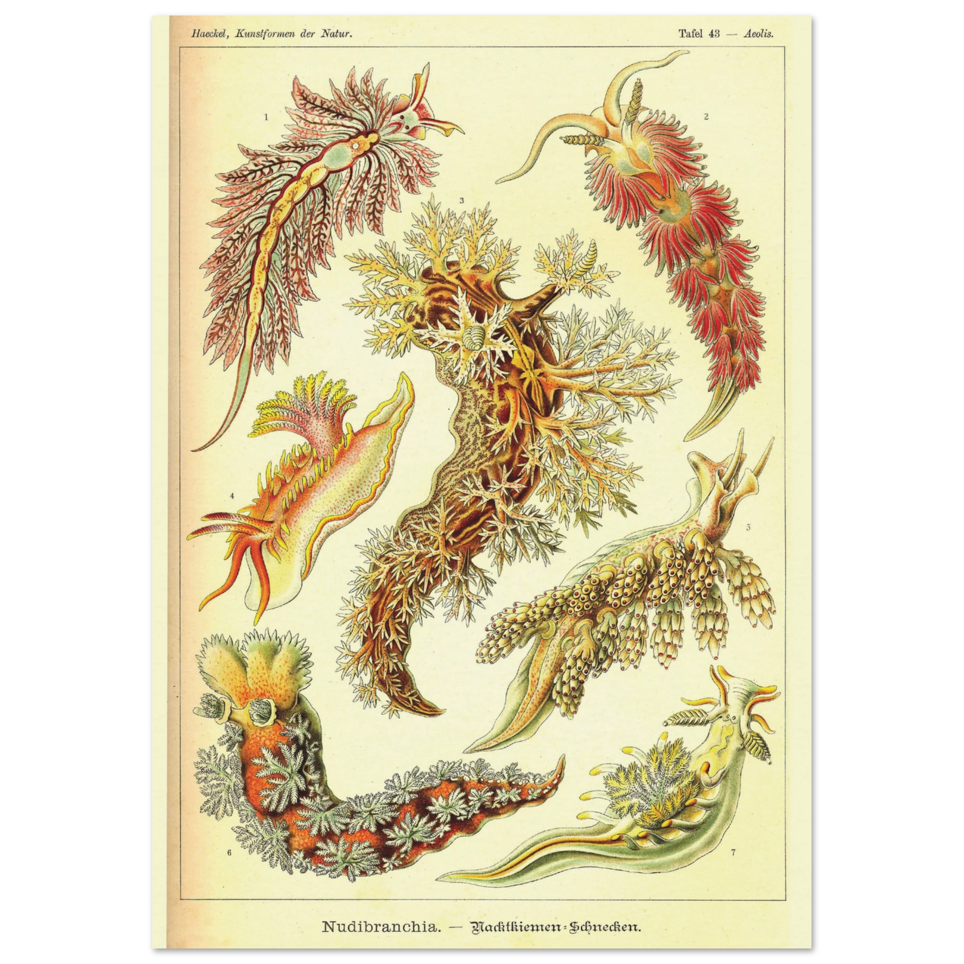 9cba9ae2-231d-44fc-8a53-ebf82b4d674e