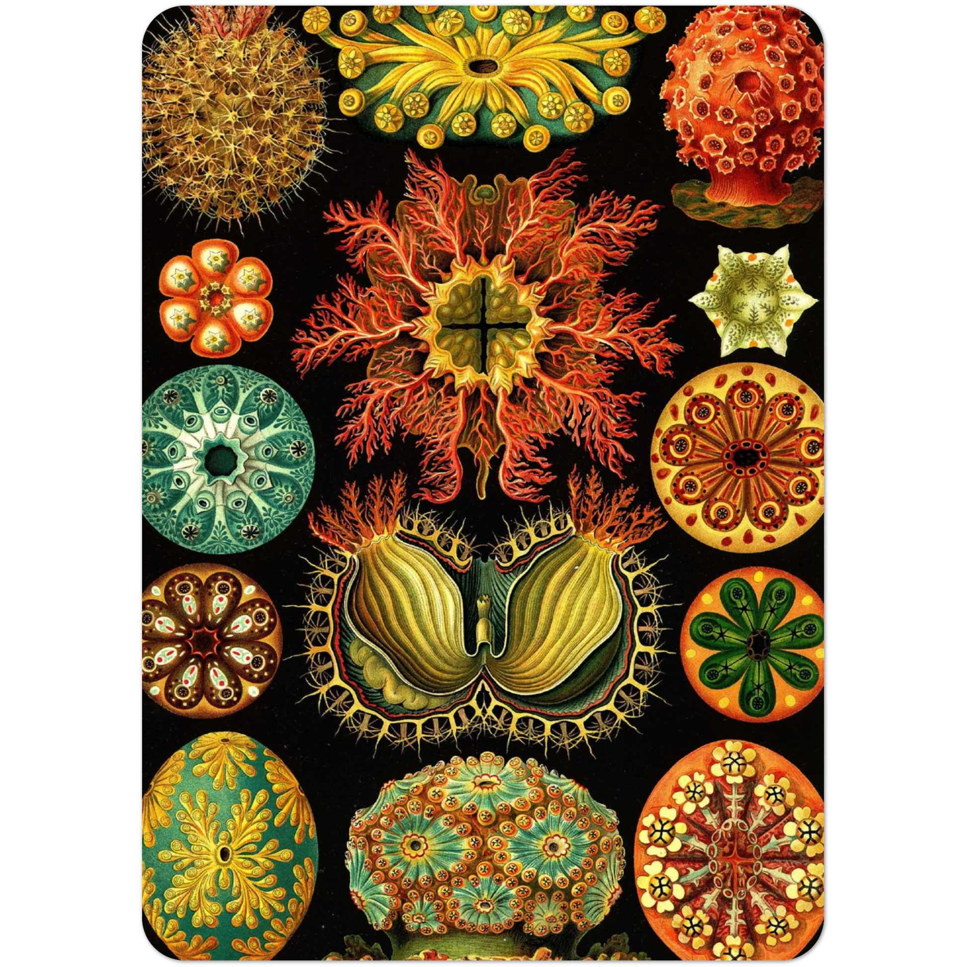 9d86dc1d-2e9c-41ba-9173-295ed7a6ea79