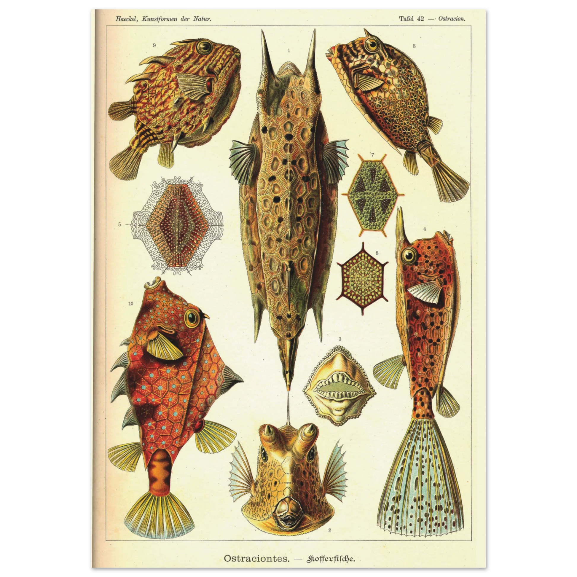 9debf052-6e1f-41ef-ae64-55ac5b250e91