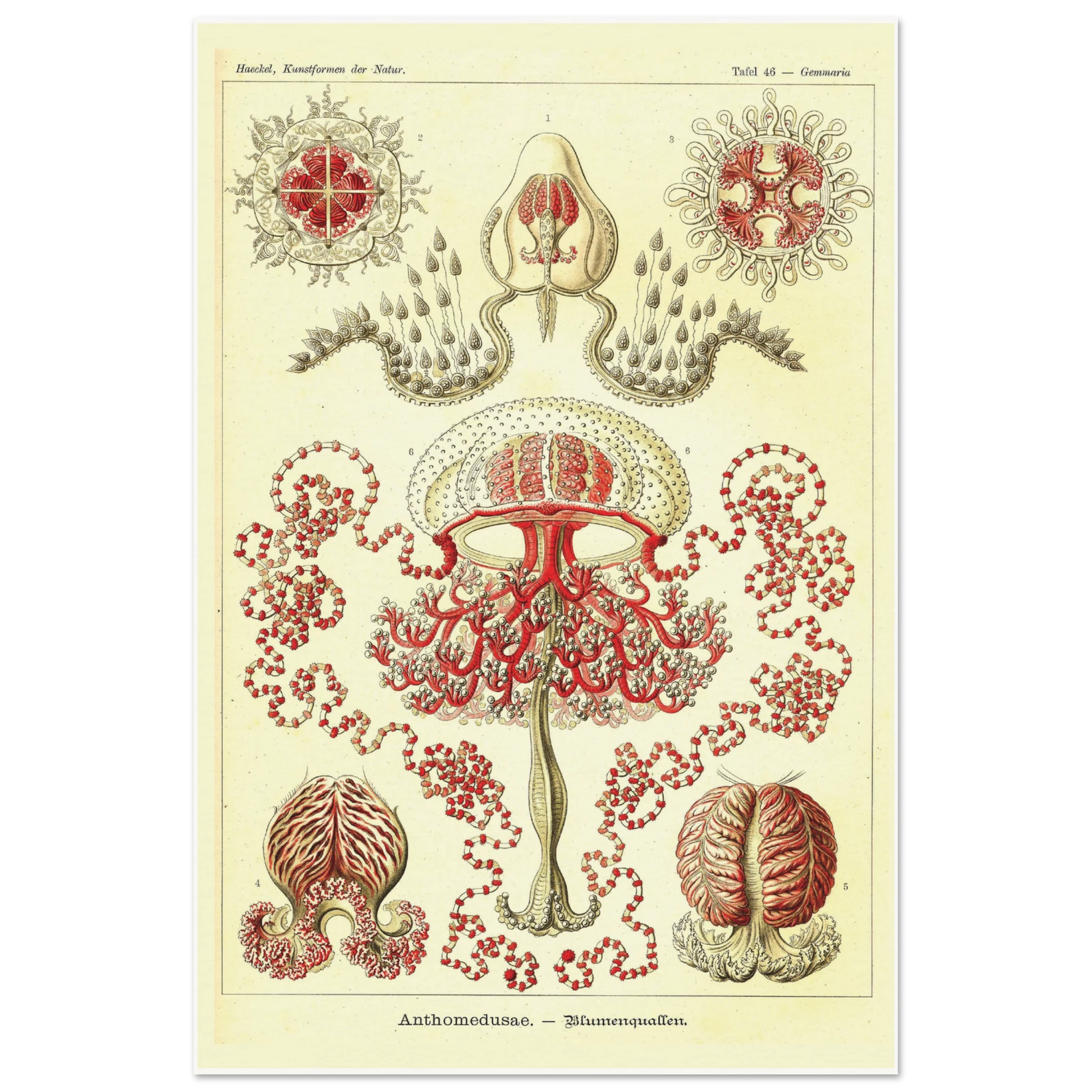 9fd05f96-e0b2-4961-a04f-27443d0ab9ed