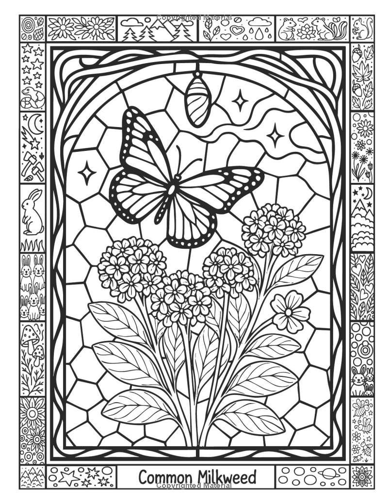 Beautiful Weeds: Elevating Mindfulness and Belonging