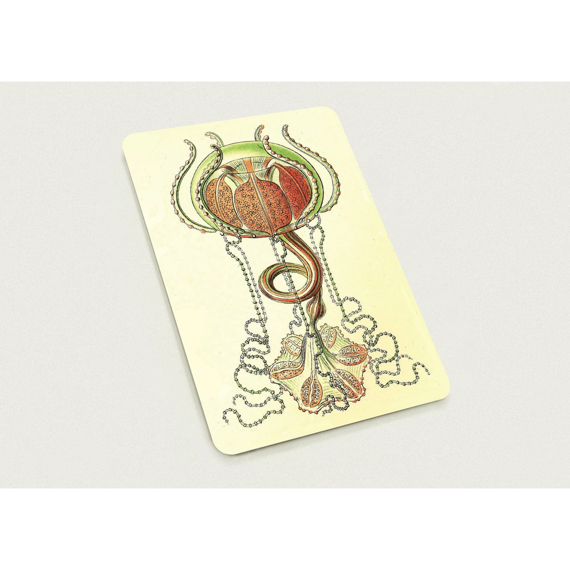 a4b9a5d8-fce9-4778-8adf-d4dbf073f59b