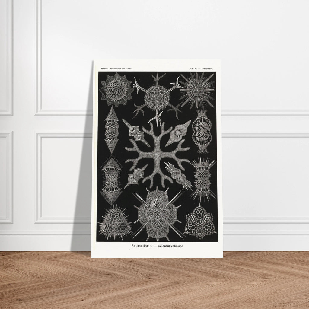 a55a346d-f53b-423b-9705-7f70cd65214d