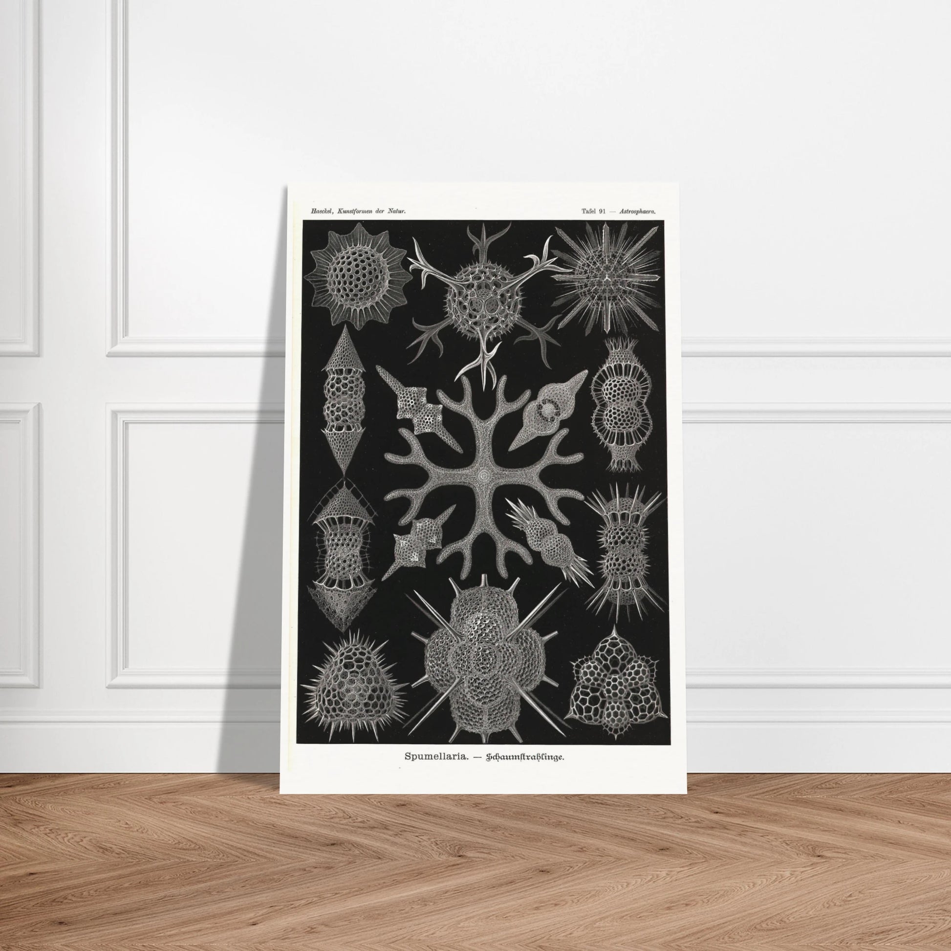 a55a346d-f53b-423b-9705-7f70cd65214d