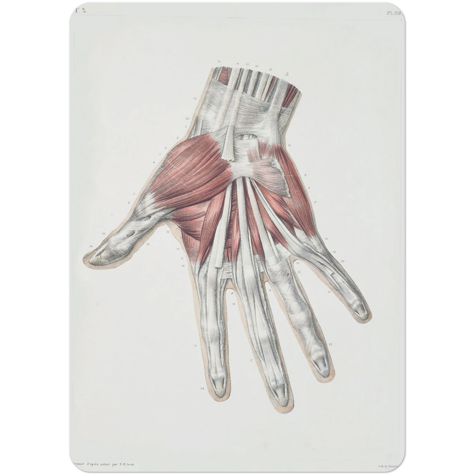 a68a5d04-a5e6-4198-808b-9dbea8861bbf