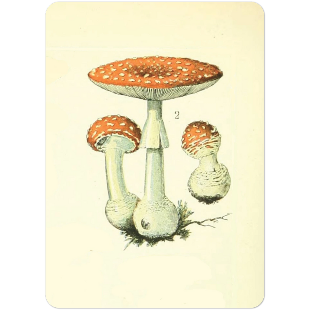 a6aed569-3569-4fe8-ae3e-b1cf28c271c4