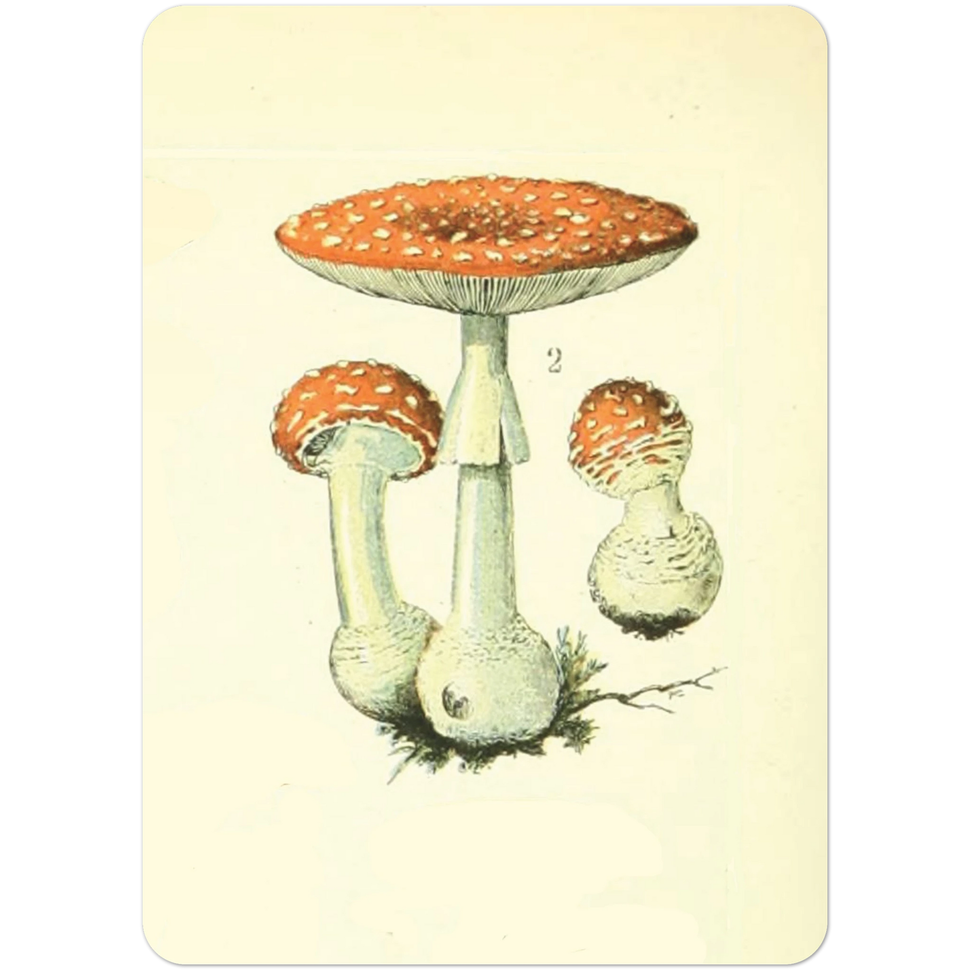 a6aed569-3569-4fe8-ae3e-b1cf28c271c4