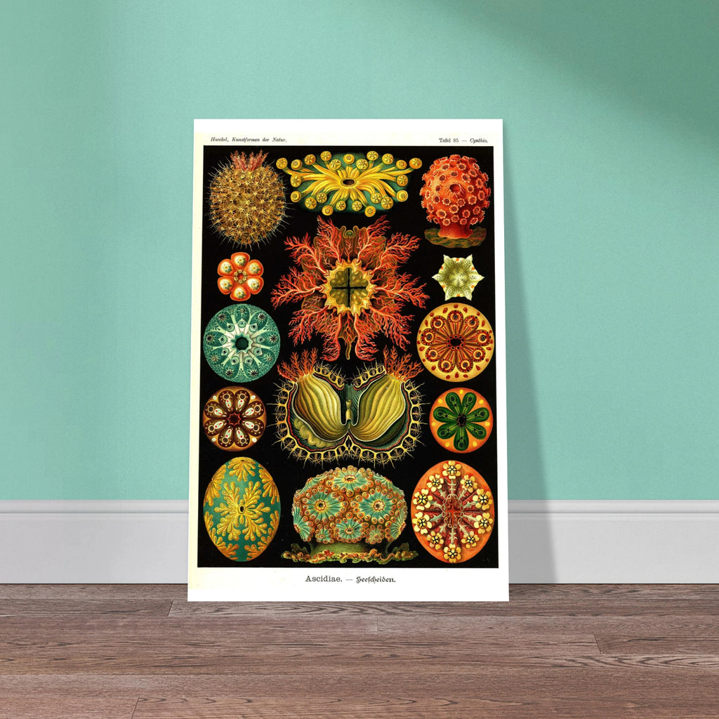 a6c22339-3ff9-4a5d-9be5-a4a600061ceb