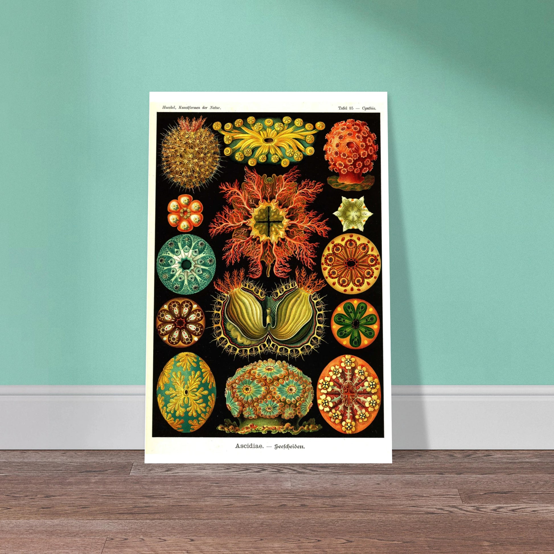 a6c22339-3ff9-4a5d-9be5-a4a600061ceb