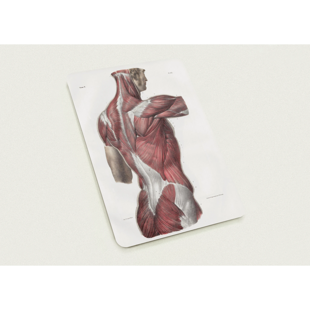 a81b55d0-0f52-4a4b-aa33-e21f7e4601eb