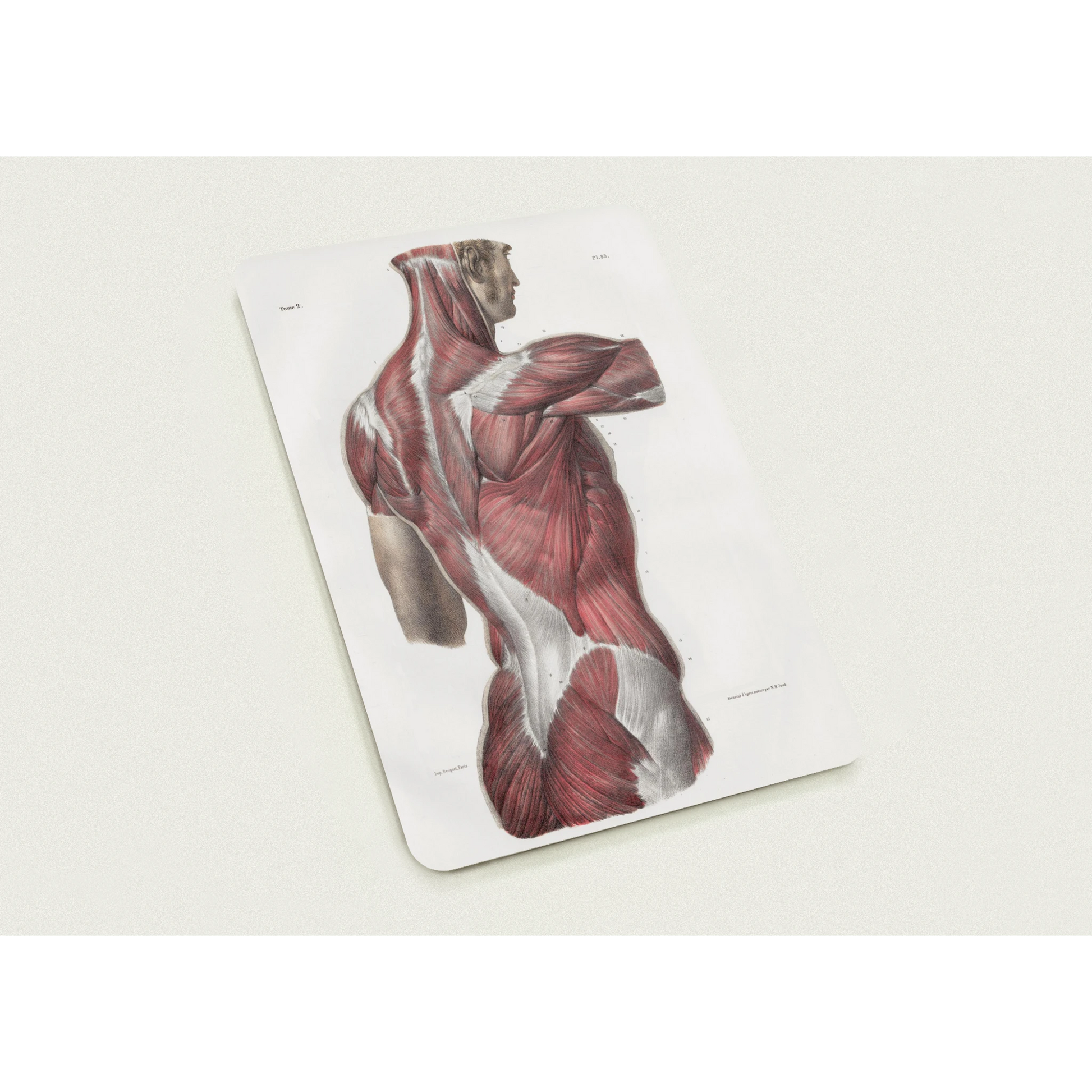 a81b55d0-0f52-4a4b-aa33-e21f7e4601eb