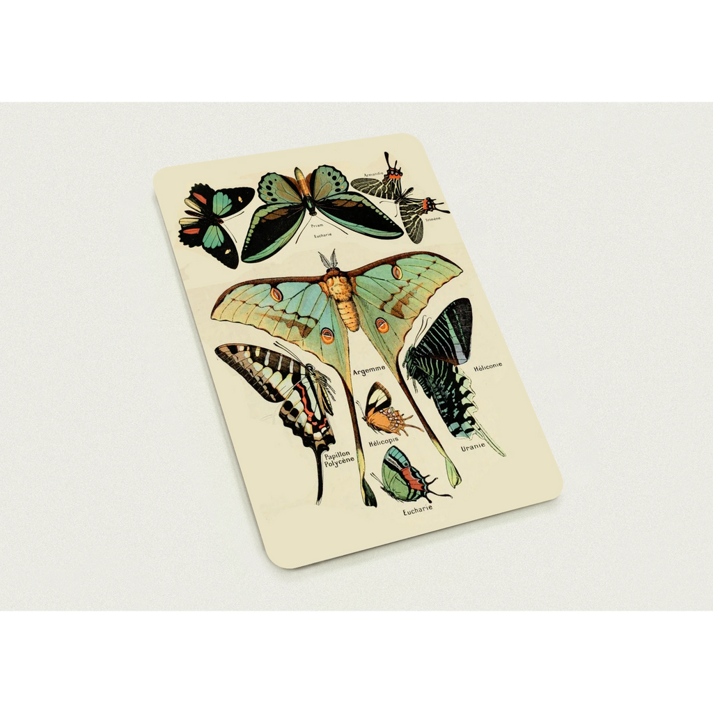 aaf6fa21-7f50-41af-a8a0-84d2a661d7ab