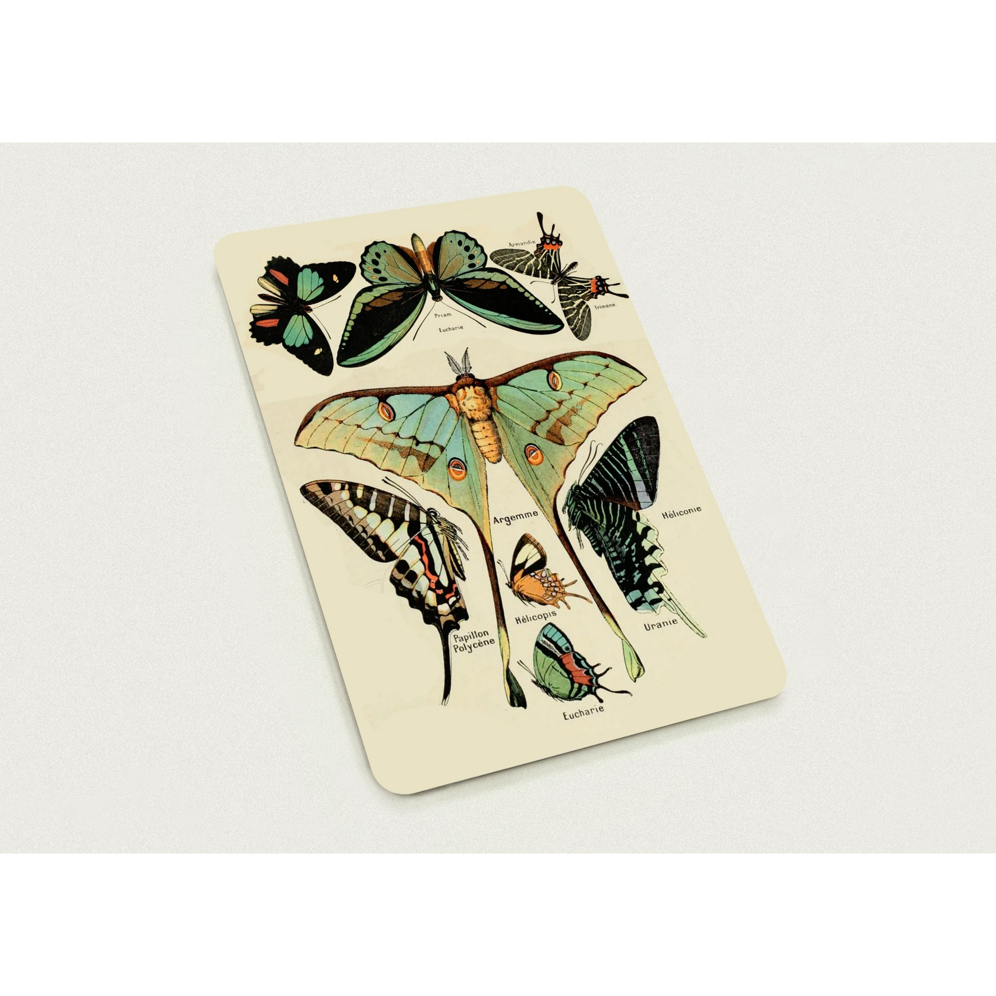 aaf6fa21-7f50-41af-a8a0-84d2a661d7ab