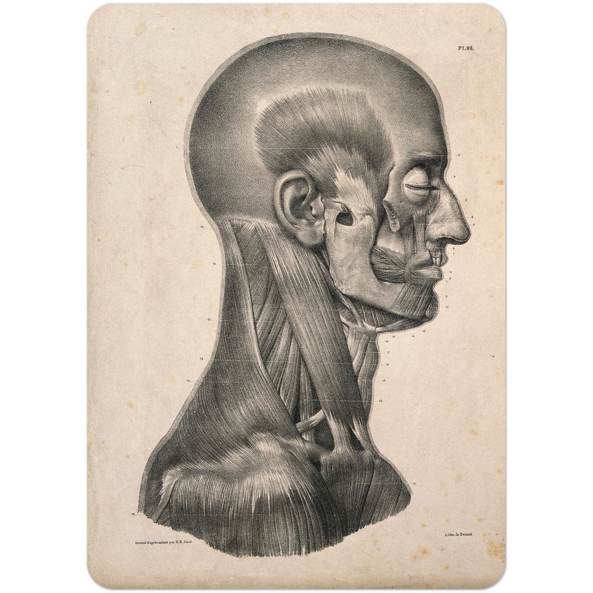 abccfc6f-7d9d-45a8-9add-f5ac8b0f916b