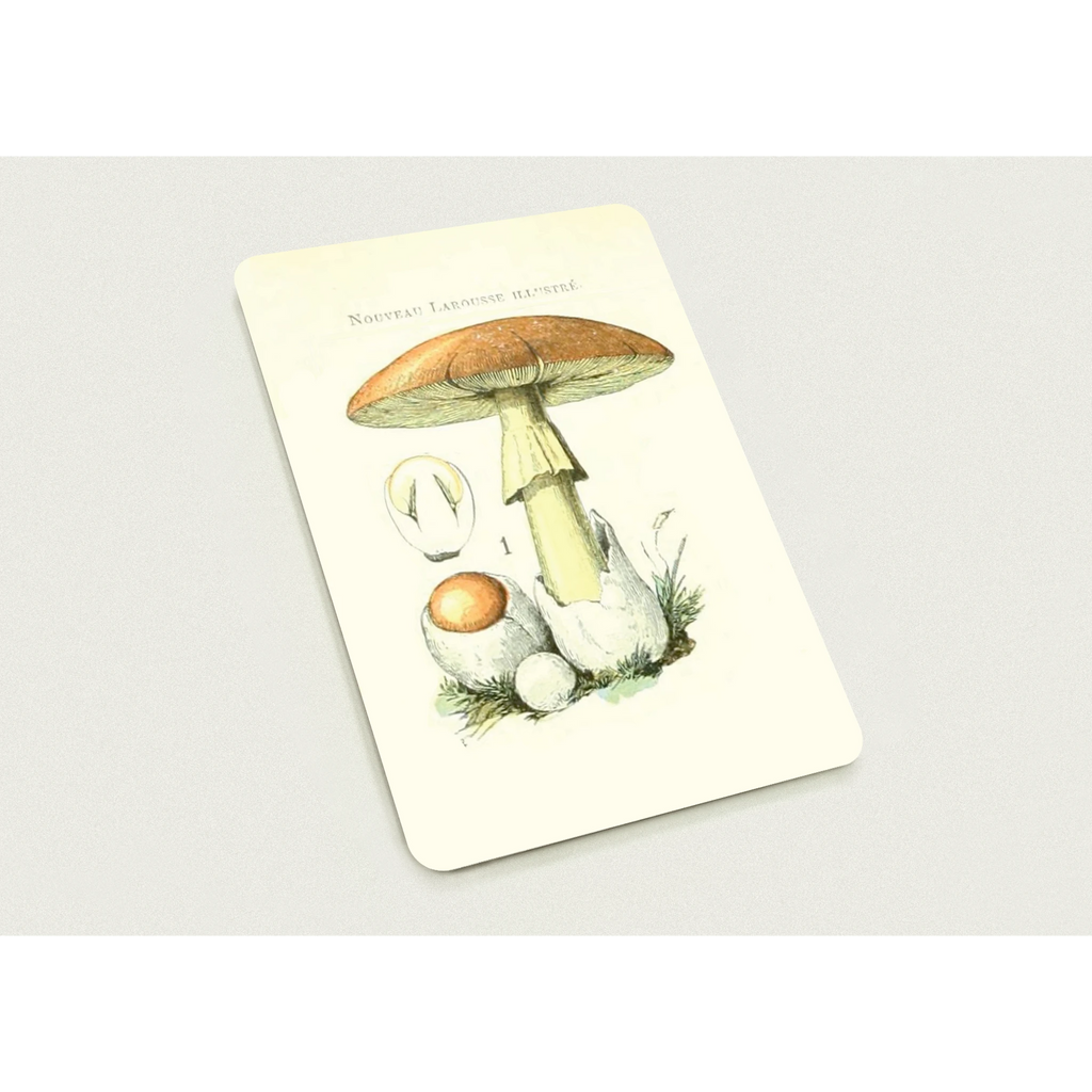 ac6ae2fb-b16f-45b3-967c-9e01fef06556