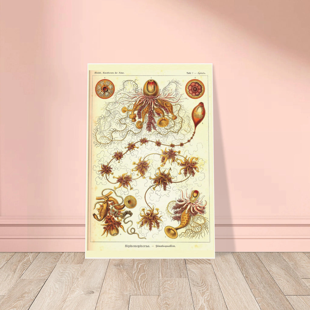 aed66b0f-25e8-4a4f-8097-bf0307f84af6