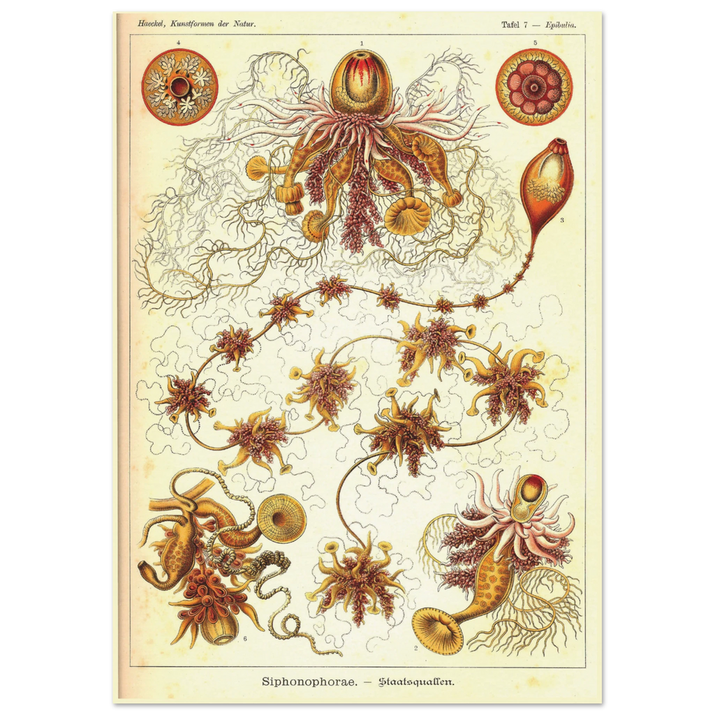 af011ad8-619e-4c92-873f-919453723cc4