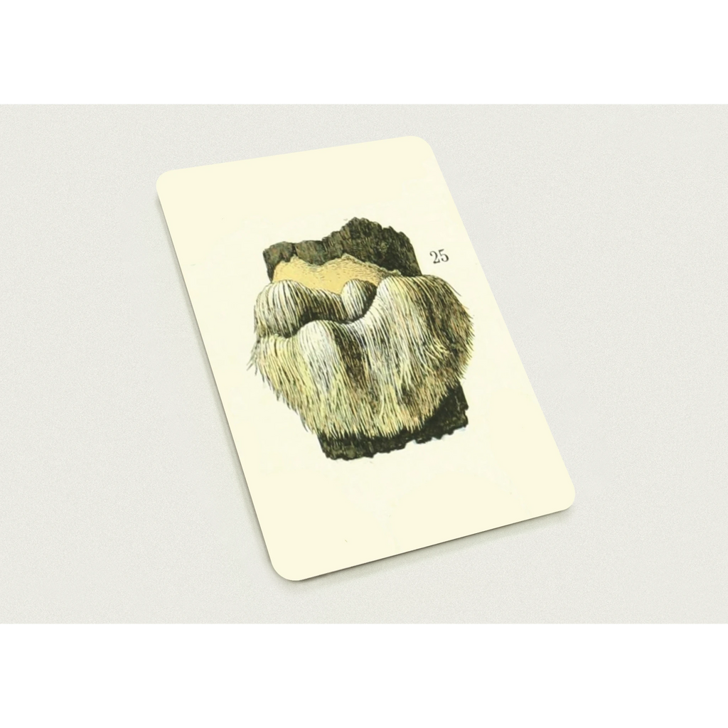 b181d012-f994-4ecc-bd9f-681fff32f3ac